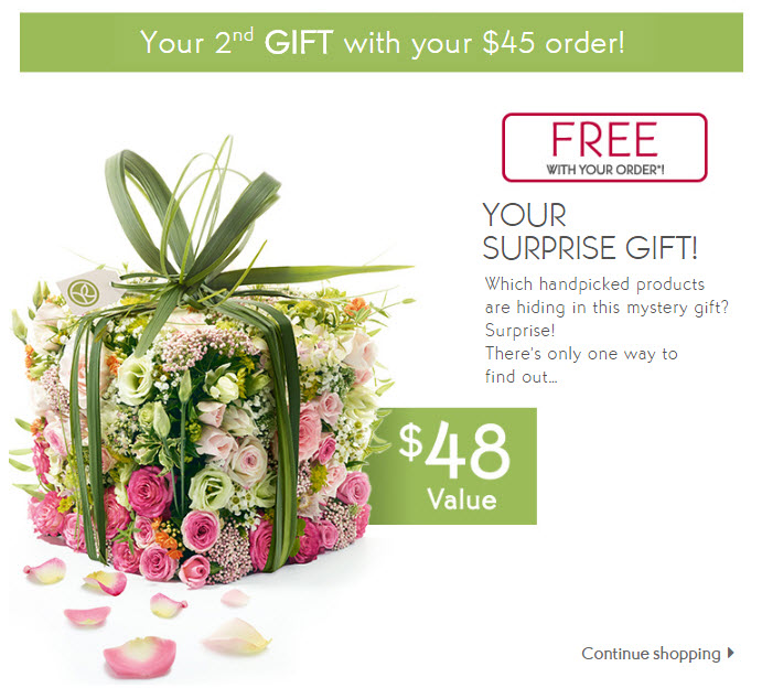 Receive a free 4-piece bonus gift with your $45 Yves Rocher purchase