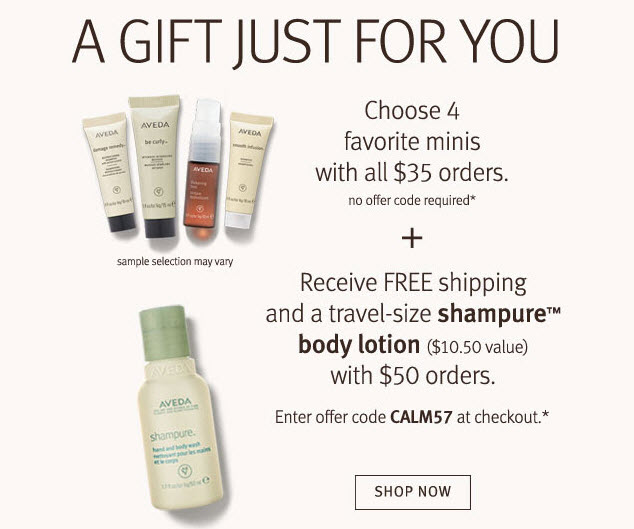 Receive a free 4-piece bonus gift with your $35 Aveda purchase
