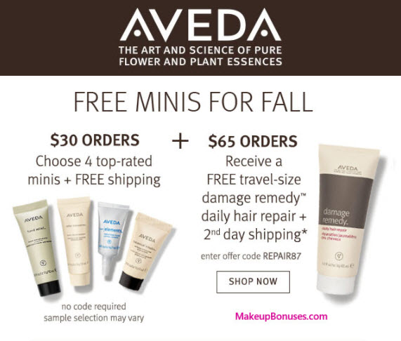 Receive your choice of 4-pc gift with your $30 Aveda purchase