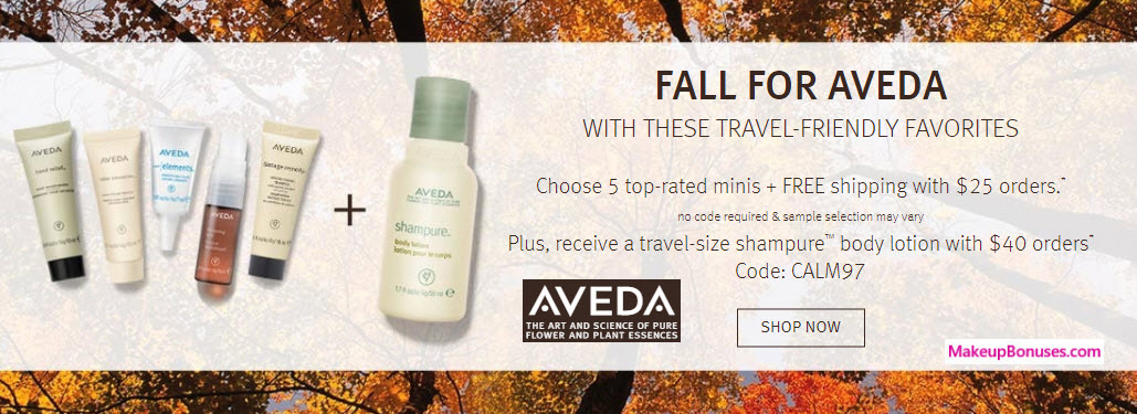 Receive your choice of 6-pc gift with your $40 Aveda purchase