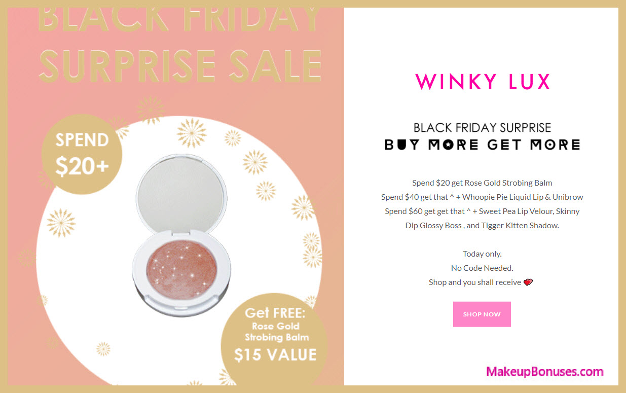 Winky Lux Sale - MakeupBonuses.com
